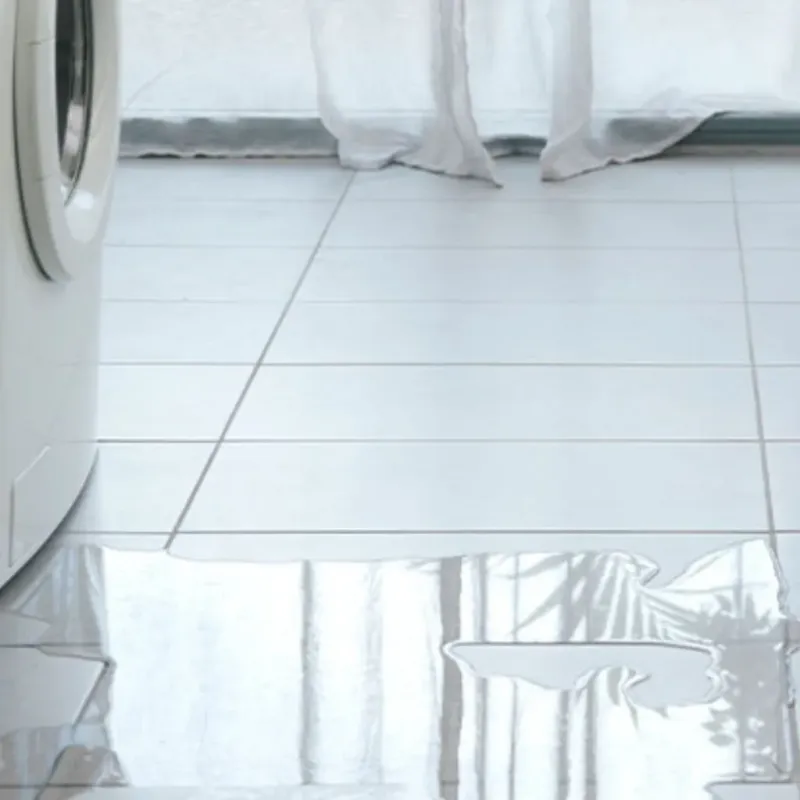 Appliance Leak Cleanup in Nevada County, CA