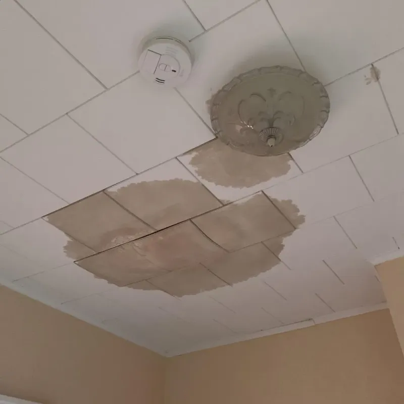 Ceiling Water Damage Repair in Nevada County, CA